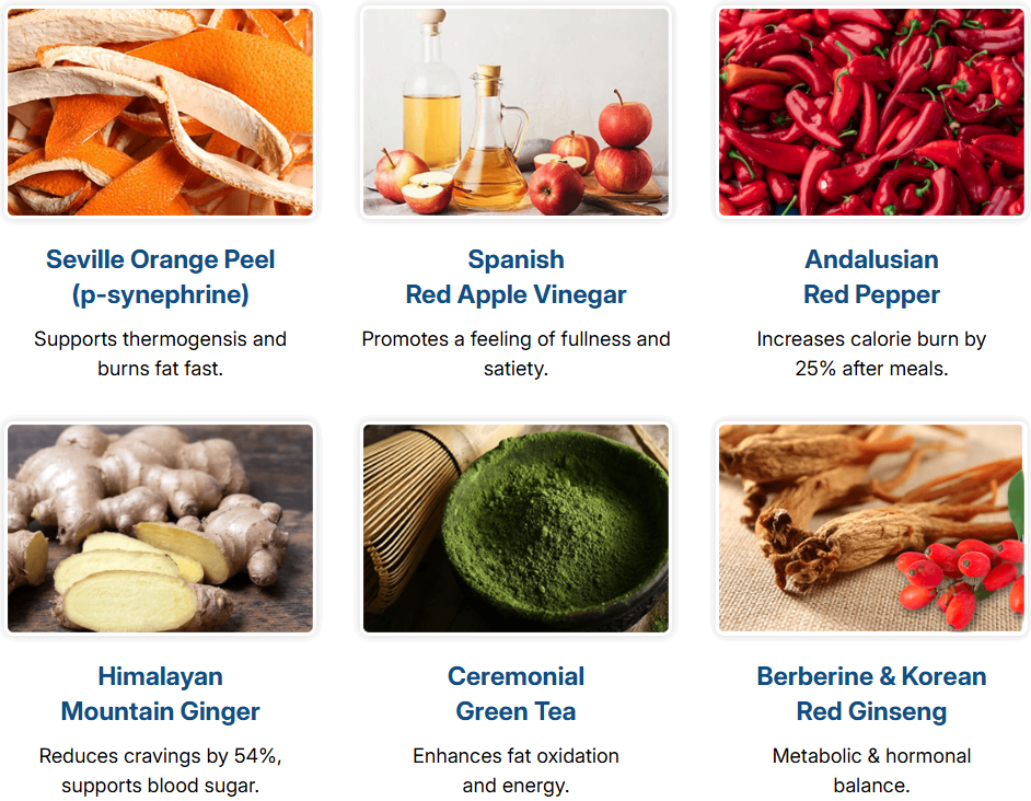 CitrusBurn Capsules Ingredients
